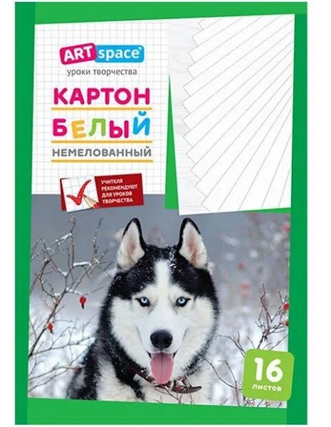 картон белый А4 16л немелованный в папке Хаски 220683/Рел/30