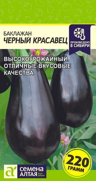 семена Баклажан Черный Красавец БП 0,2г среднесп.грушевид. фиолет./СемАлт/20