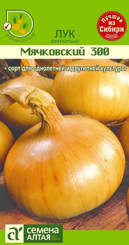 Экстра мячковский. Лук репчатый Мячковский 300. Лук севок Мячковский. Лук репчатый Мячковский 300 1г поиск. Лук Мячковский (Гавриш).