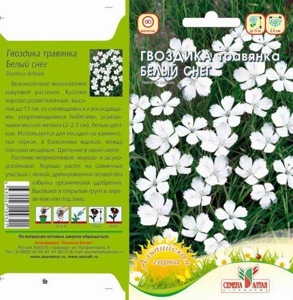 семена цветы Гвоздика травянка Белый Снег ЦП 0,1гр многолет.15см/СемАлт/10
