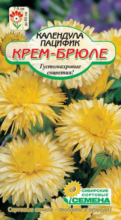 семена цветы Календула Крем-Брюле пацифик ЦП 0.5гр/ССС/10