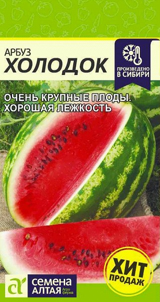 семена Арбуз Холодок ЦП 1гр скороспелый/СемАлт/10