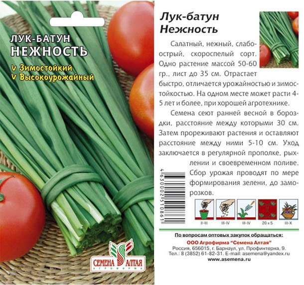 Семена алтая каталог на 2024. Лук батун нежность 1гр ц/п Аэлита. Лук батун нежность 1гр/10. Семена лук батун нежность 0,5г. Семена лук батун Алтайский.