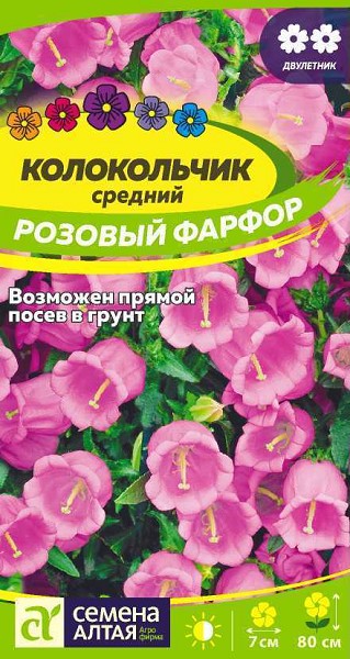 семена цветы Колокольчик Средний Розовый Фарфор ЦП 0.1гр двулет.80см.крупн/СемАлт/10