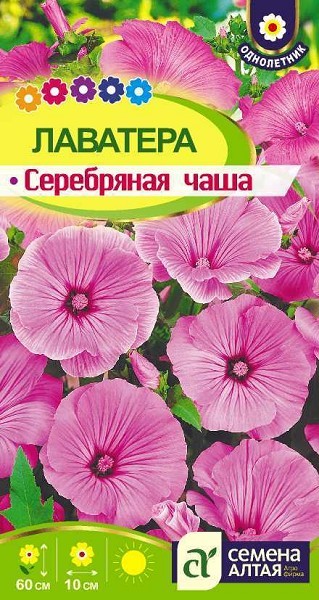 семена цветы Лаватера Серебряная чаша ЦП 0,2гр однолет.60см.крупн/СемАлт/10