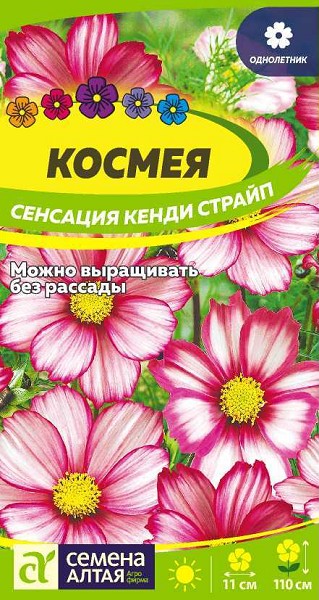 семена цветы Космея Сенсация Кенди Страйп ЦП 0,5гр однолет.110см.гигант/СемАлт/10