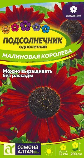 семена цветы Подсолнечник Малиновая Королева ЦП 0,5гр однолет.200см.крупн/СемАлт/10