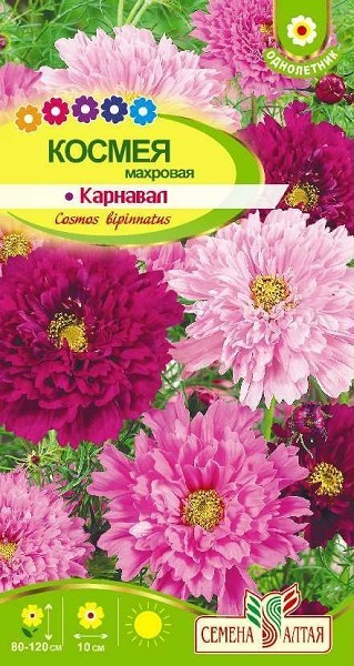 семена цветы Космея Карнавал смесь махровая ЦП 0,5гр однолет.80-120см.крупн/СемАлт/10