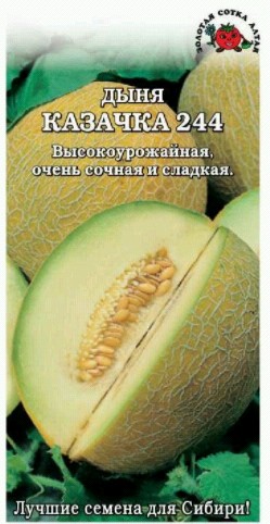 семена Дыня Казачка ЦП 0,5гр среднесп. 1,2-1,8кг/ЗолС/10