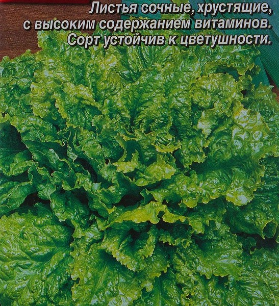 семена Зелень Салат Тайфун БП 0,5г среднеспел./ЗолС/20