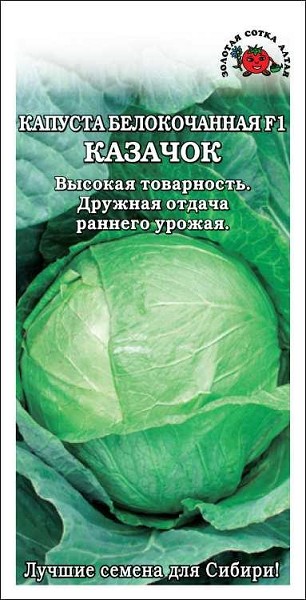 семена Капуста Казачок F1 БП 0,1гр раннесп./ЗолС/20