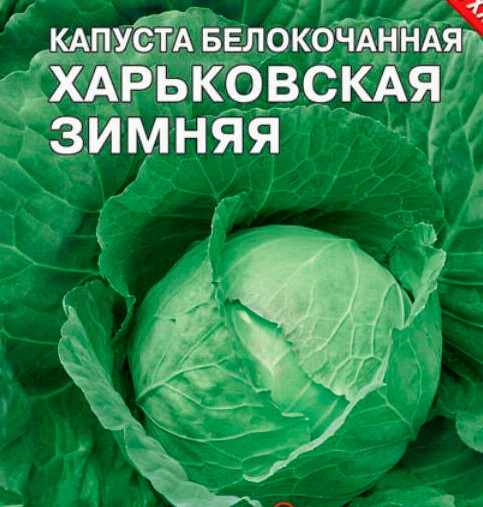 семена Капуста Харьковская зимняя БП 0,5гр позднеспел/ЗолС/20