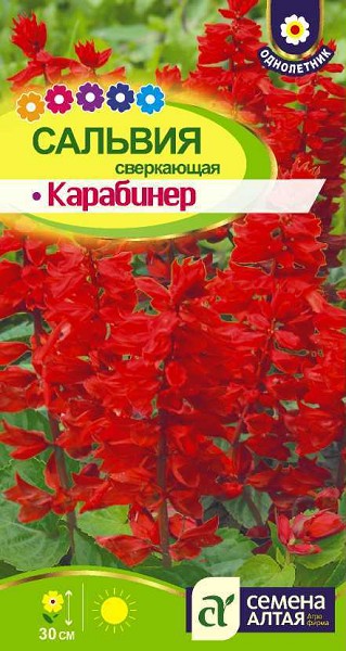 семена цветы Сальвия Карабинер Сверкающая ЦП 0,1гр h-25см/СемАлт/10