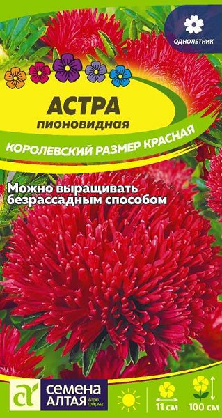 семена цветы Астра Королевский размер Красная ЦП 0,2гр однолет.100см.крупн/СемАлт/10