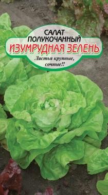 семена Зелень Салат Изумрудная зелень БП 0,5гр среднесп./ССС/20