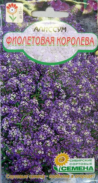 семена цветы Алиссум Фиолетовая королева ЦП 0.1гр Однолетнее обильноветвящееся/ССС/10