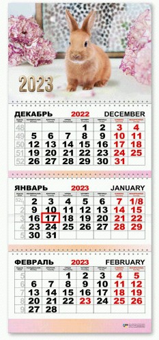 календарь 2023 настенный квартальный Трио Символ Года Кролик/Квадра