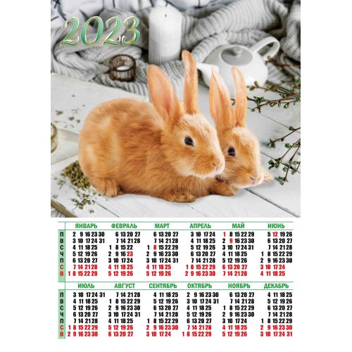 календарь 2023 плакат А2 Символ года Кролик/Квадра/30x10