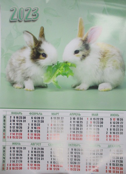 календарь 2023 плакат А2 Символ года Кролик/Квадра/30x10