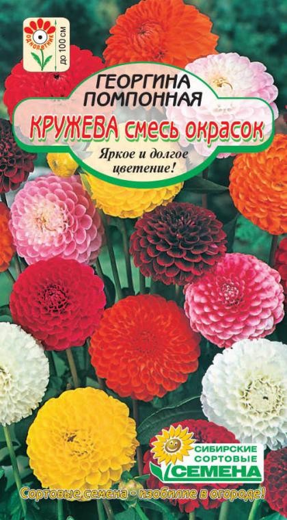 Цветок Георгина Коларетте дэнди микс (0,2 гр.) l Русские Семена - интернет-магазин.