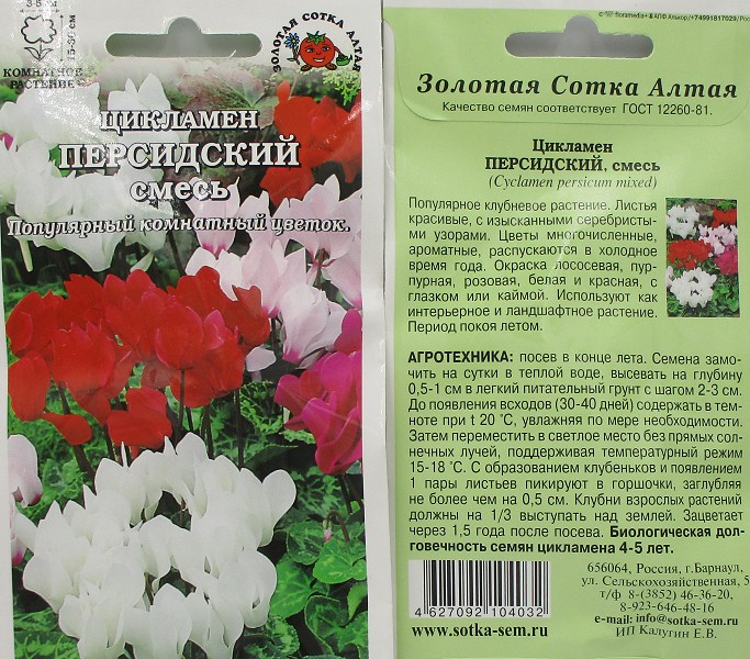 семена цветы комн Цикламен Персидский смесь ЦП 3шт h-15см, d-3см/ЗолС/10