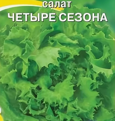 семена Зелень Салат 4 сезона БП 0,5гр полукач./ЗолС/20