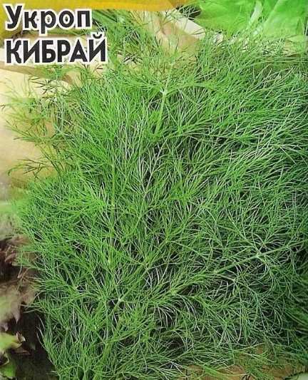 семена Зелень Укроп Кибрай БП 2гр/ЗолС/20