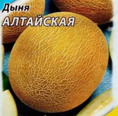 семена Дыня Алтайская (дубовка) ЦП 0,5гр скоросп./ЗолС/10