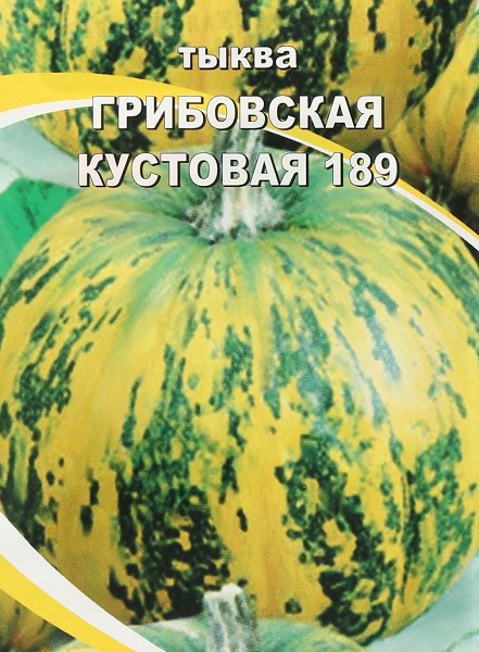 семена Тыква Грибовская Кустовая 189 БП 5шт /ССС/20