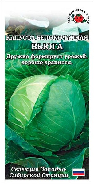 семена Капуста Вьюга ЦП 0,5гр среднепоздний/ЗолС/20