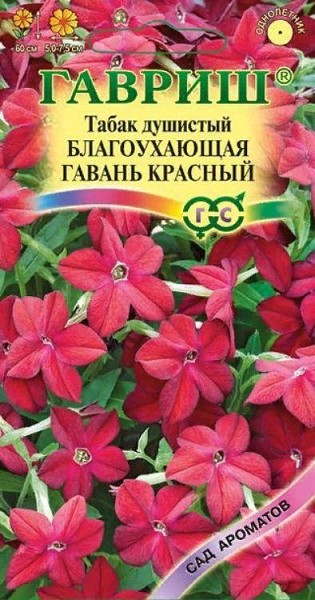 семена Табак Благоухающая Гавань красный F1 ЦП 4шт крыл.60см d-7,5см/Гавриш/10