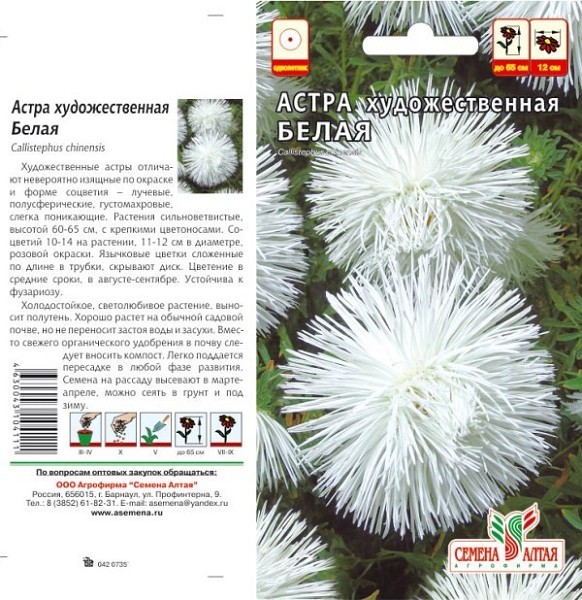 семена цветы Астра Художественная Белая ЦП 0,3гр однолет.65см.крупн/СемАлт/10