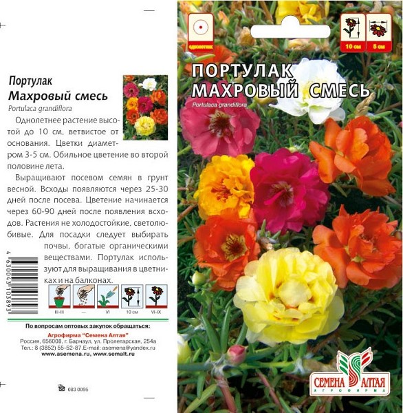 семена цветы Портулак Махровый Смесь ЦП 0,1гр однолет. h-10см, d-5см/СемАлт/10