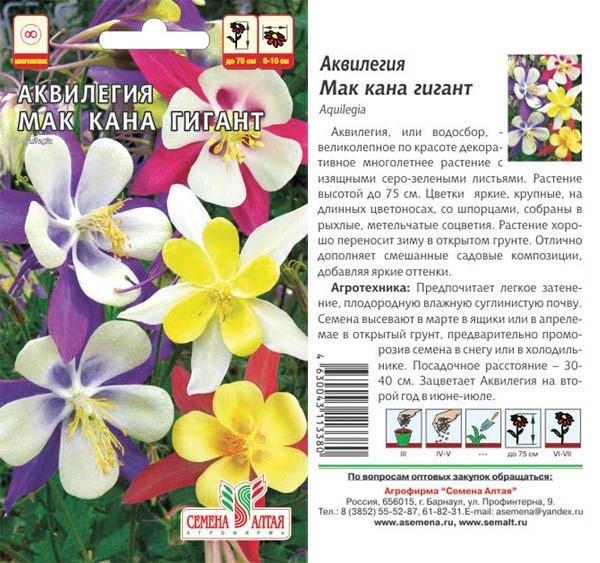 семена цветы Аквилегия МакКана Гигант гибридная ЦП 0,1гр многолет.h-75см.d-8-10см/СемАлт/10