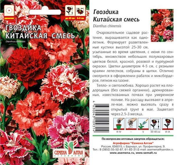семена цветы Гвоздика Китайская Смесь окрасок ЦП 0,1гр однолет.h-25-30см d-4см/СемАлт/10