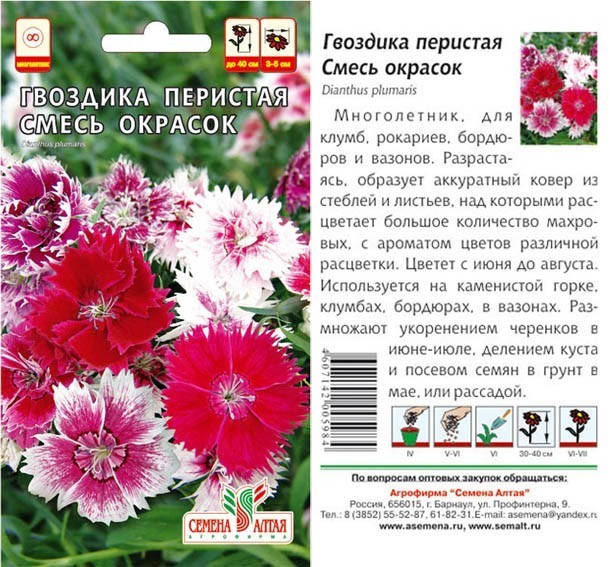 семена цветы Гвоздика Перистая смесь окрасок ЦП 0,1гр многолетн.40см.средн/СемАлт/10