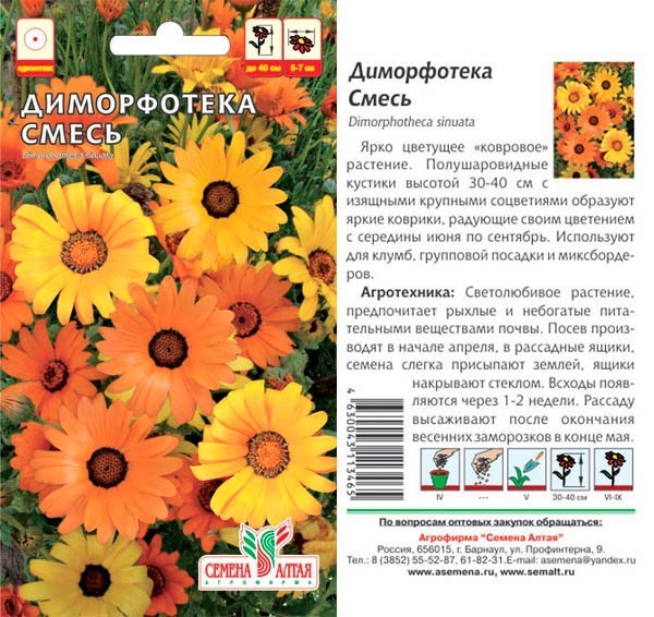 семена цветы Диморфотека Смесь окрасок ЦП 0,2гр однолет.средн h-30см d-7см/СемАлт/10