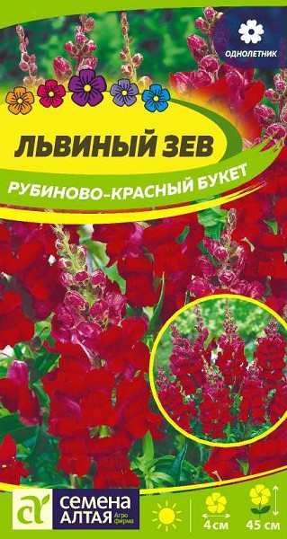 семена цветы Львиный зев Рубиново-красн.букет ЦП 0,2гр однолет.средн h-45см d-4см/СемАлт/10
