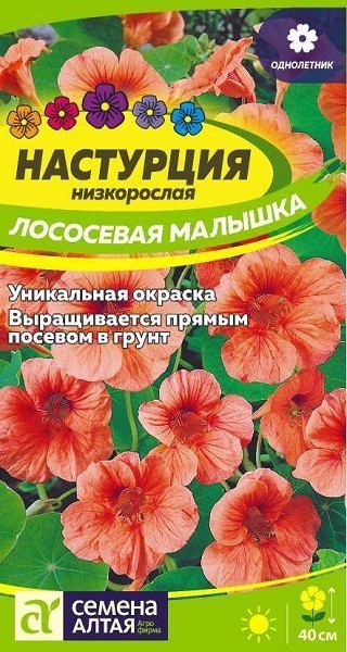 семена цветы Настурция Лососевая малышка низкорос. ЦП 1гр однолет.h-40см d-5-7см/СемАлт/10