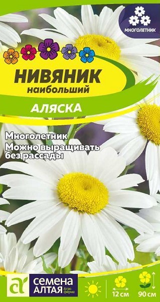 семена цветы Нивяник Аляска ЦП 0,1гр многолет.гигант h-90см d-12см/СемАлт/10