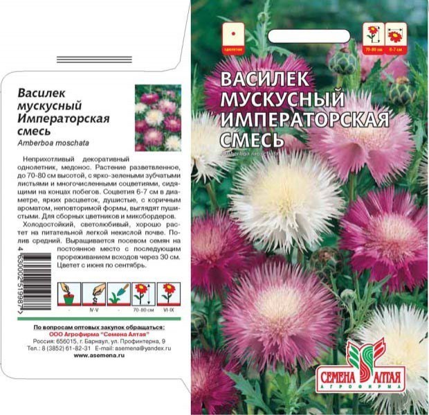 семена цветы Василек Императорская Смесь мускусный ЦП 0,3гр однолет.крупн h-70-80см d-5-7см /СемАлт/10
