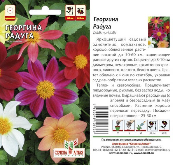 семена цветы Георгина Радуга смесь окрасок ЦП 0.2гр однолет.средн h-50-60см d-8-10см/СемАлт/10