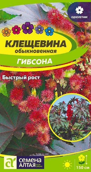 семена цветы Клещевина Гибсона ЦП 3шт однолет.h-150см /СемАлт/5