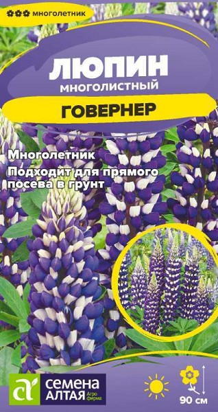 семена цветы Люпин Говернер ЦП 0,3гр многолет.кистевидн.соц. h-90cм d-6см/СемАлт/10
