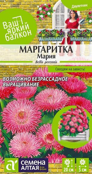 семена цветы Маргаритка Мария ЦП 0,05гр двулет.средн h-20см d-5см/СемАлт/10