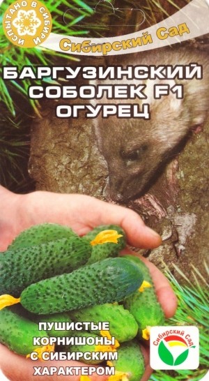 семена Огурец Баргузинский соболек F1 ЦП 7шт раннесп.засол./СибСад/10
