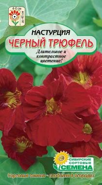 семена цветы Настурция Черный Трюфель низкорос. ЦП 1гр h-40см d-5см/ССС/10