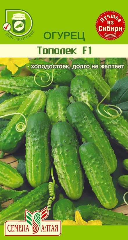 семена Огурец Тополёк БП 0,3гр  Среднеспелый,самооп., для откр. и закр. грунта/СемАлт/20