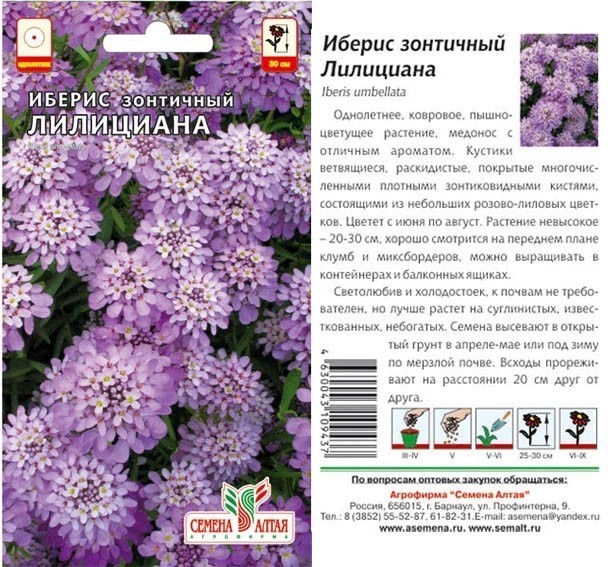 семена цветы Иберис Лилициана зонтичный ЦП 0,3гр однолет.20-30см.средн d-5см/СемАлт/10