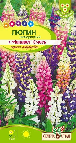 семена цветы Люпин Минарет ЦП 0,3гр многолет.кистевидн.соц. h-50см d-7см/СемАлт/10
